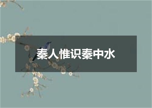 秦人惟识秦中水