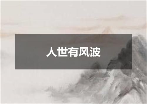 人世有风波