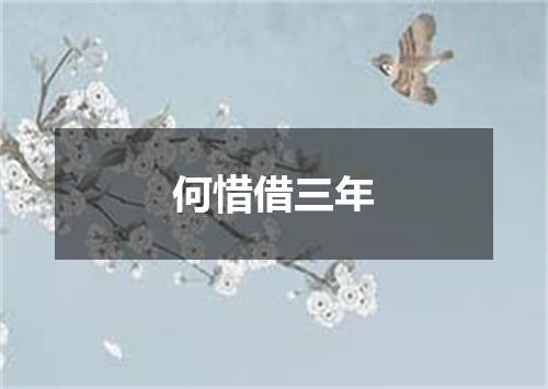 何惜借三年