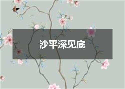 沙平深见底