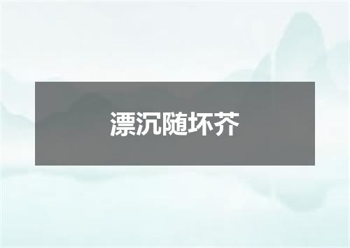 漂沉随坏芥