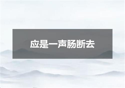应是一声肠断去