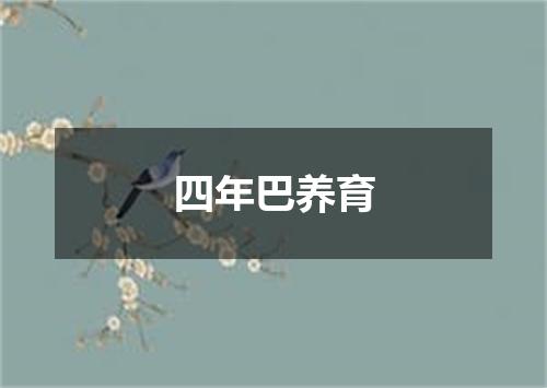 四年巴养育