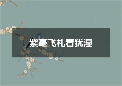 紫毫飞札看犹湿