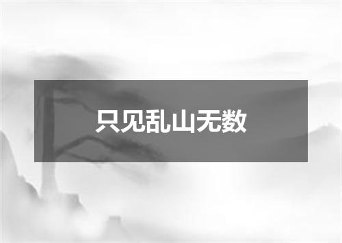 只见乱山无数
