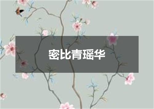 密比青瑶华