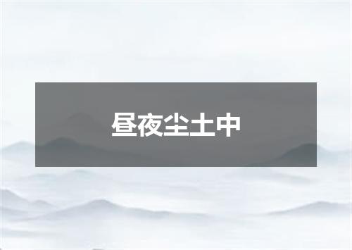 昼夜尘土中