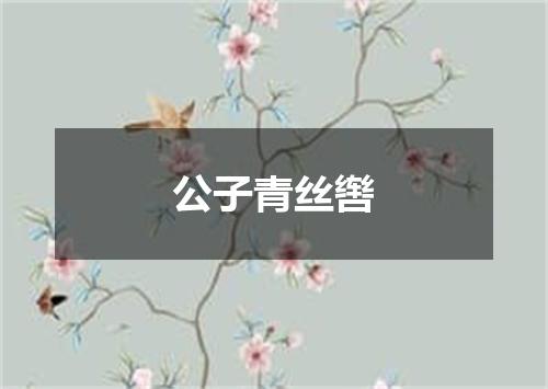 公子青丝辔