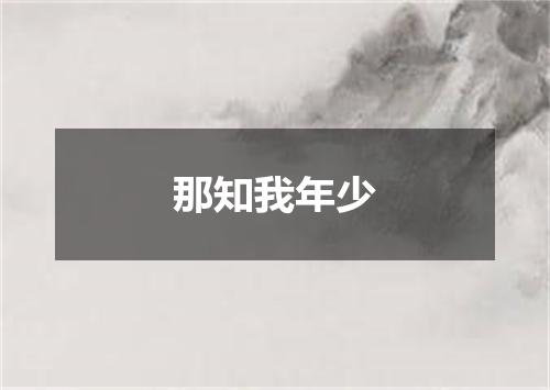 那知我年少