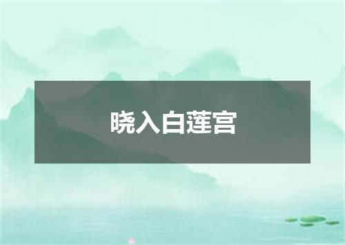 晓入白莲宫