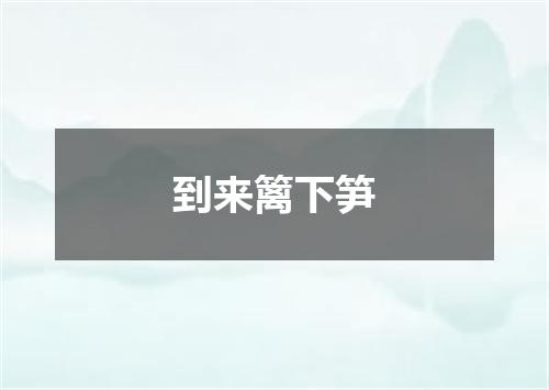 到来篱下笋