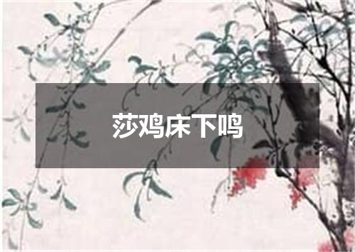 莎鸡床下鸣