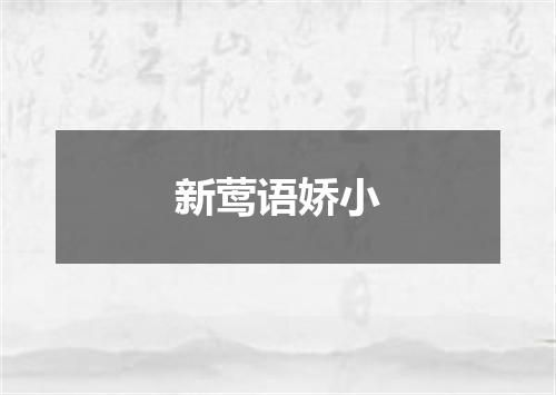 新莺语娇小