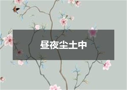 昼夜尘土中