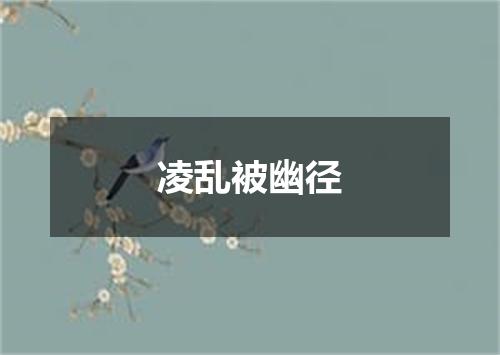凌乱被幽径