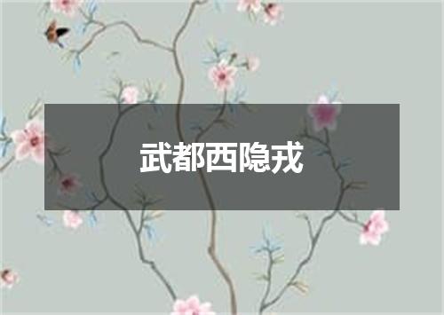武都西隐戎