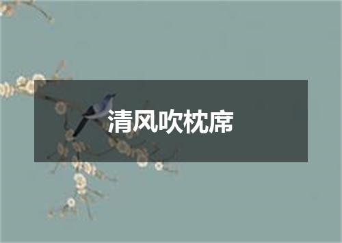 清风吹枕席