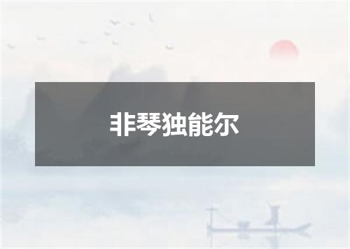 非琴独能尔