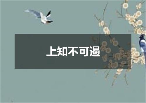 上知不可遏