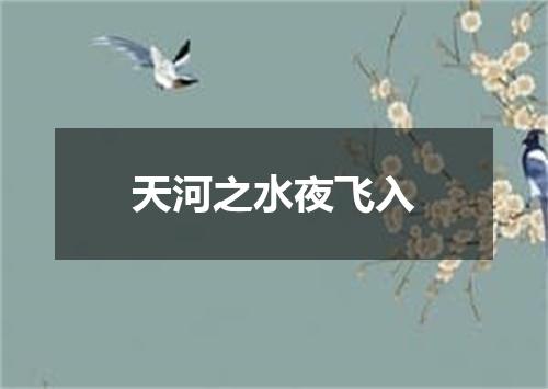 天河之水夜飞入