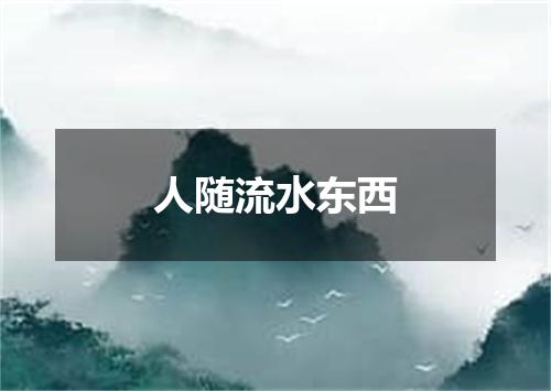 人随流水东西