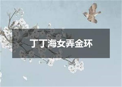 丁丁海女弄金环