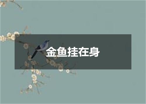 金鱼挂在身