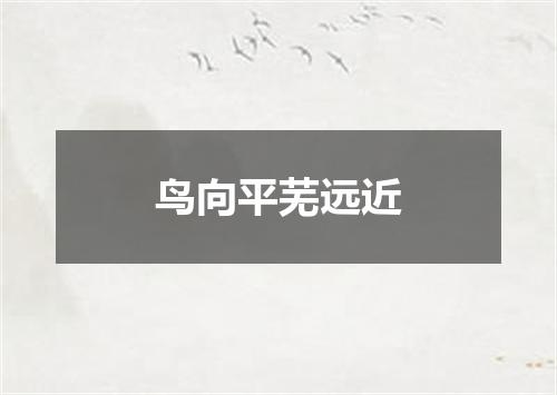 鸟向平芜远近