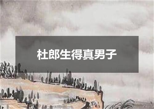 杜郎生得真男子