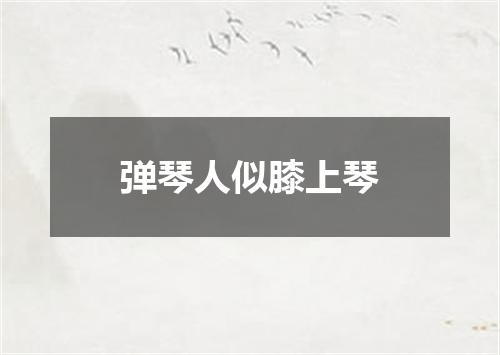 弹琴人似膝上琴