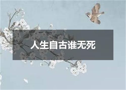 人生自古谁无死