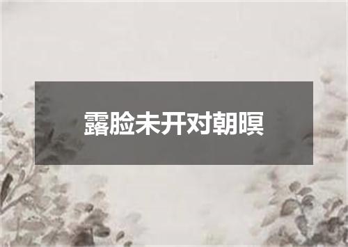 露脸未开对朝暝