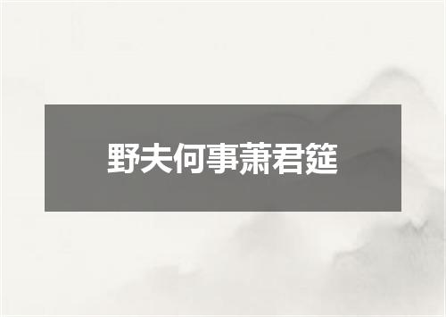 野夫何事萧君筵