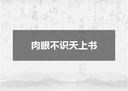 肉眼不识天上书