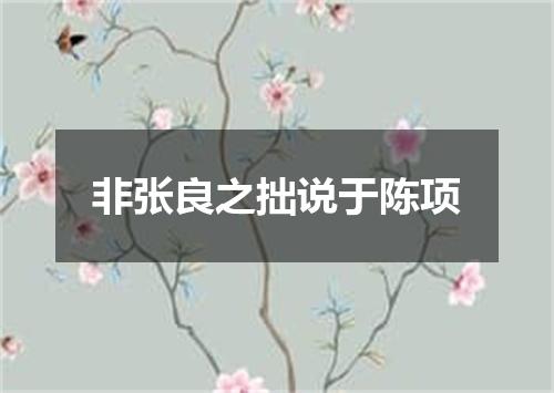 非张良之拙说于陈项