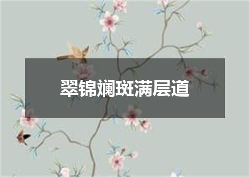 翠锦斓斑满层道