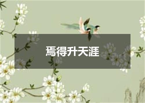 焉得升天涯