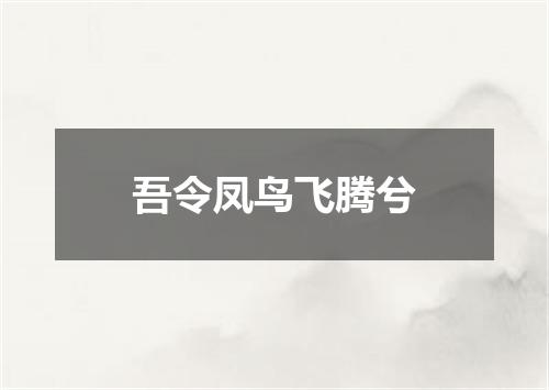 吾令凤鸟飞腾兮