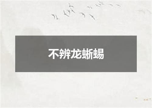 不辨龙蜥蜴