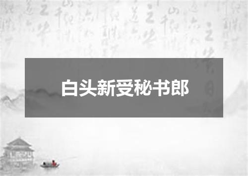 白头新受秘书郎