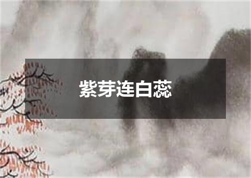 紫芽连白蕊