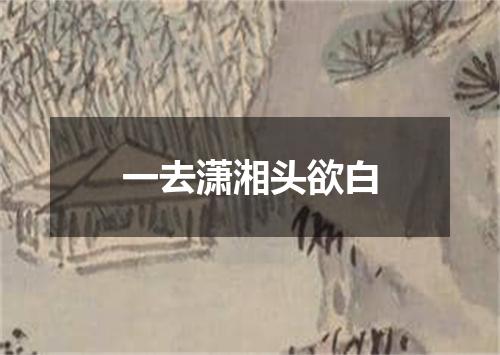 一去潇湘头欲白