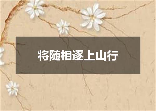 将随相逐上山行