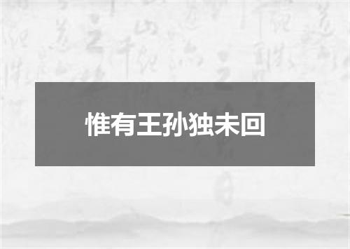 惟有王孙独未回