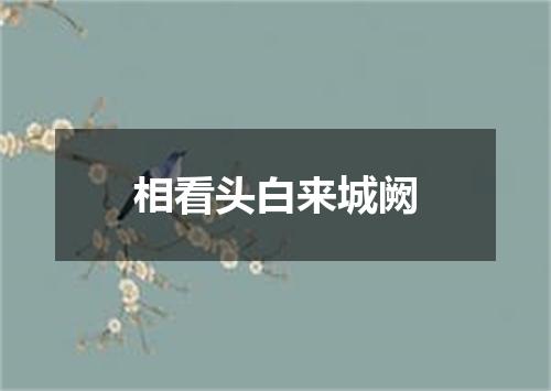 相看头白来城阙