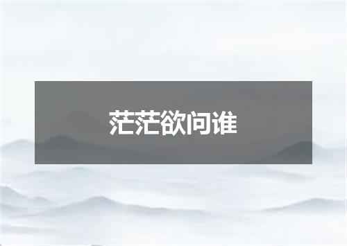 茫茫欲问谁