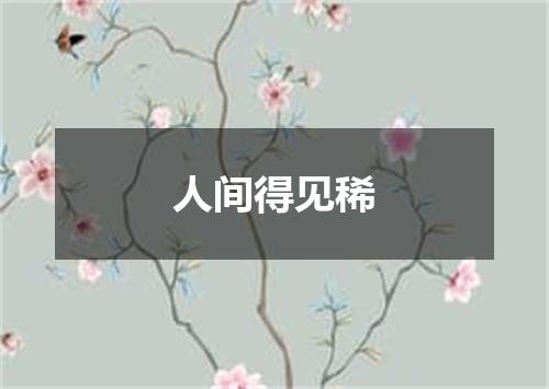 人间得见稀