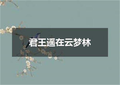 君王遥在云梦林