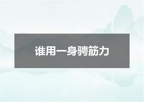 谁用一身骋筋力