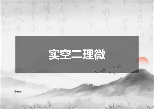 实空二理微